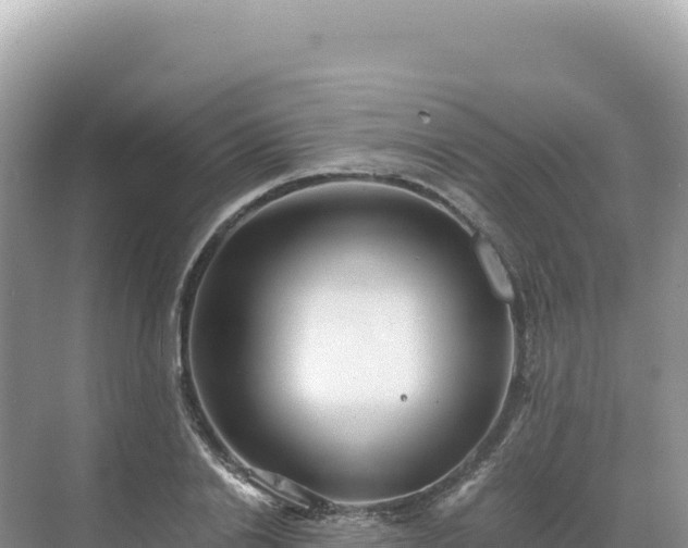 X0000071380838200606301808