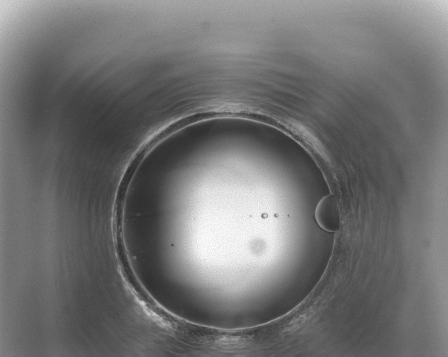 X0000071380839200606301808