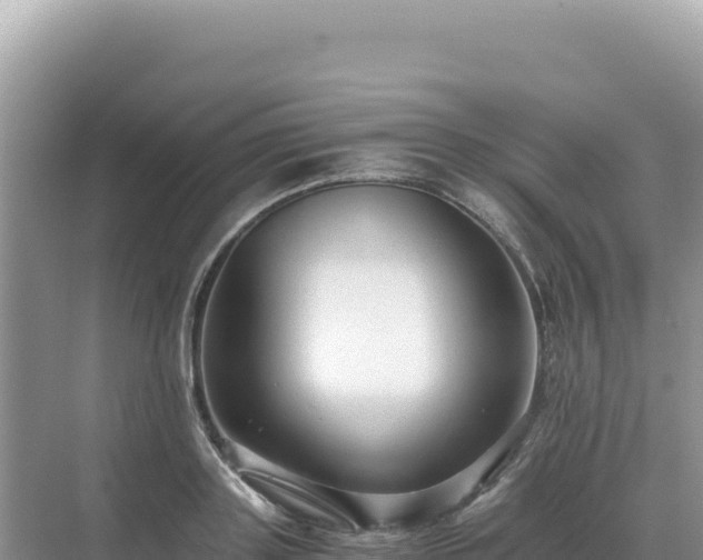 X0000071380843200606301808