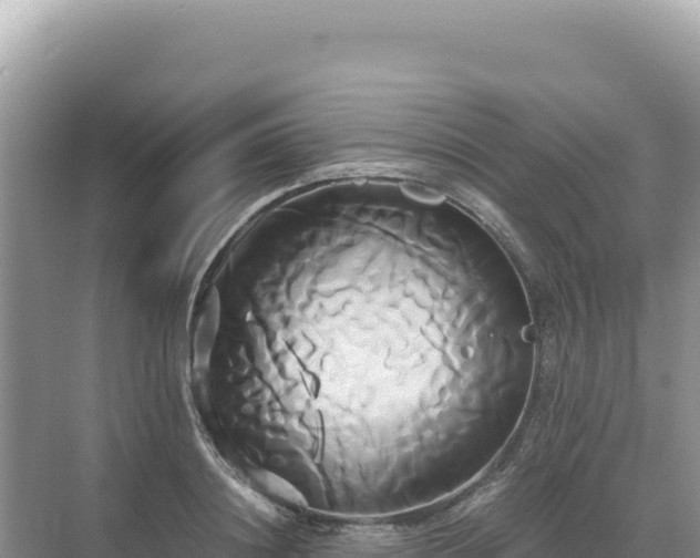 X0000071380844200606301808