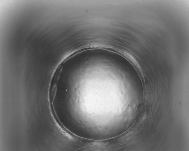 X0000071380847200606301808