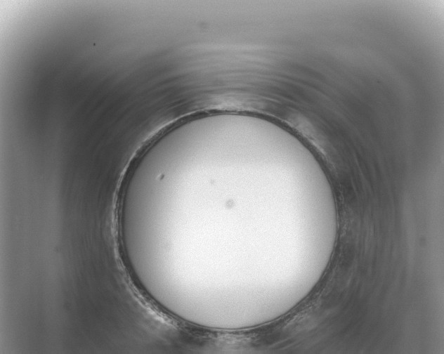 X0000071380848200606301808