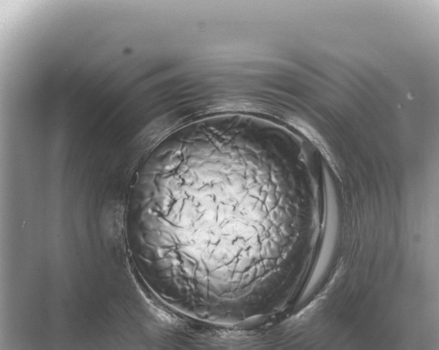 X0000071380849200606301808