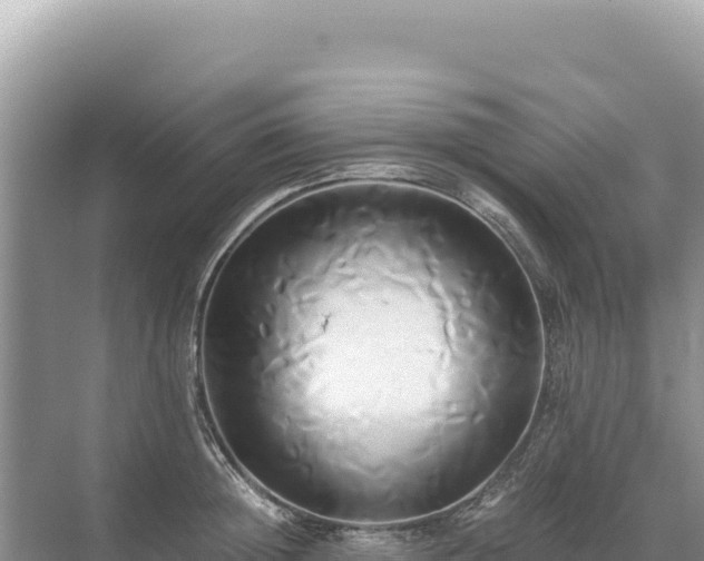 X0000071380852200606301808