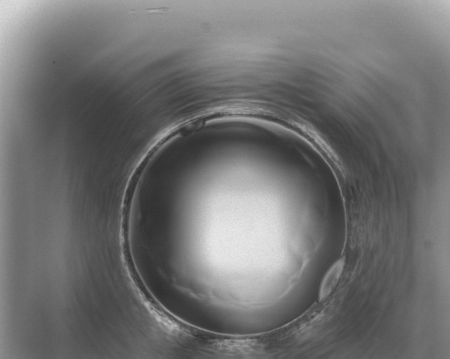 X0000071380853200606301808