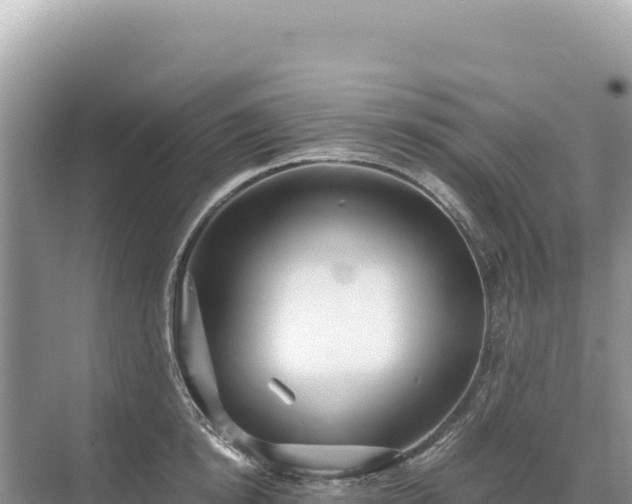 X0000071380854200606301808