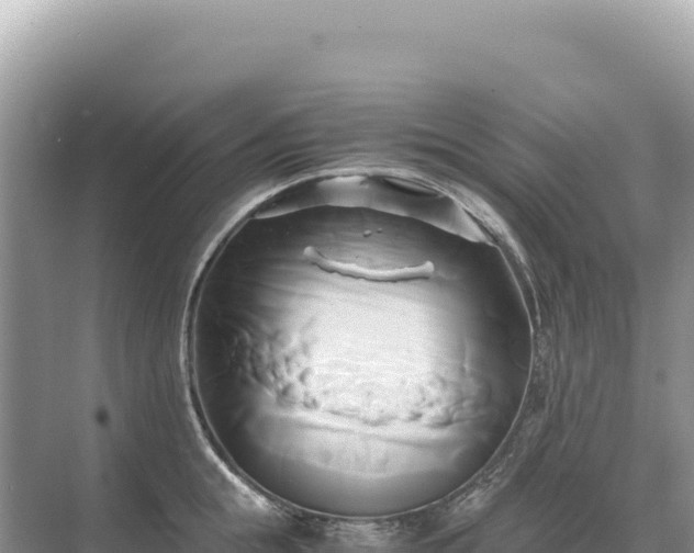 X0000071380855200606301808