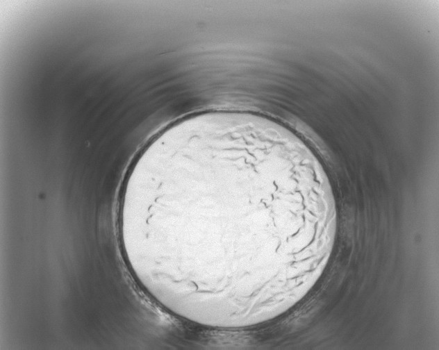 X0000071380856200606301808