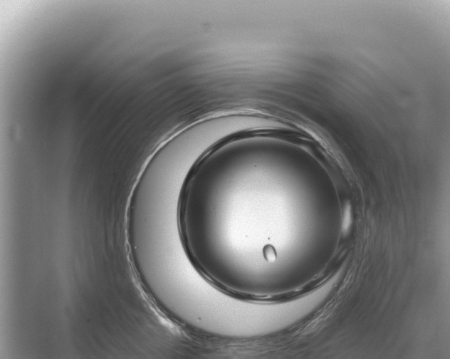 X0000071380858200606301808