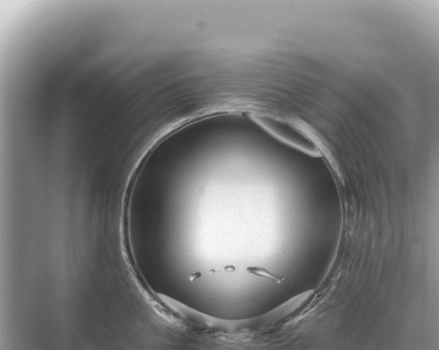 X0000071380861200606301808