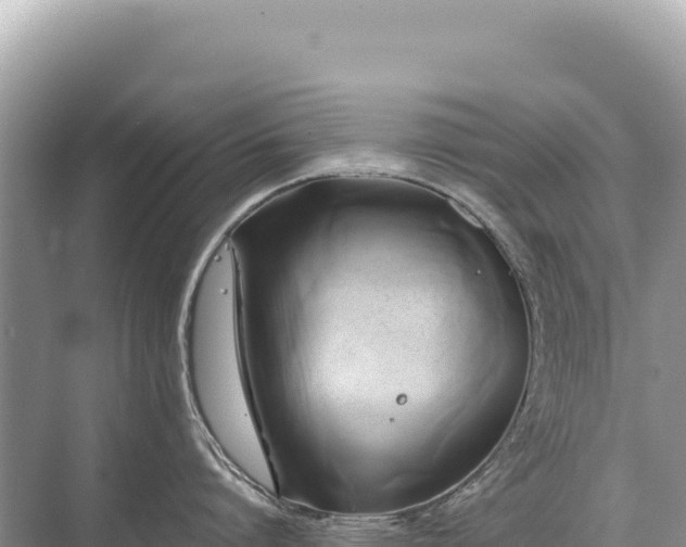 X0000071380864200606301808