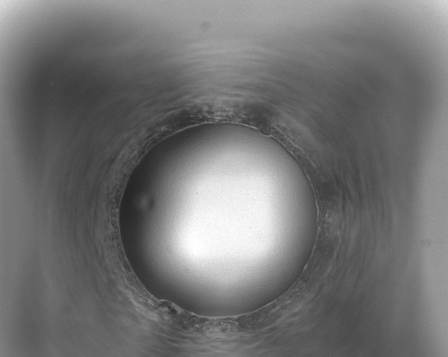 X0000071380865200606301807