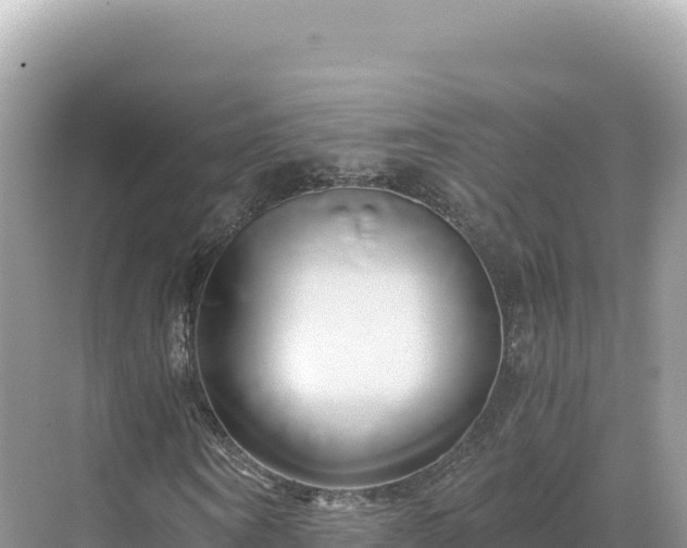 X0000071380866200606301807