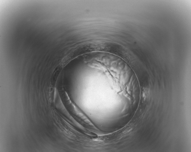 X0000071380867200606301807