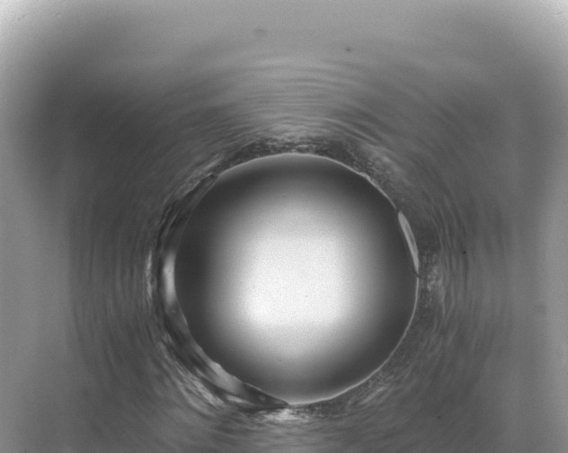 X0000071380868200606301807