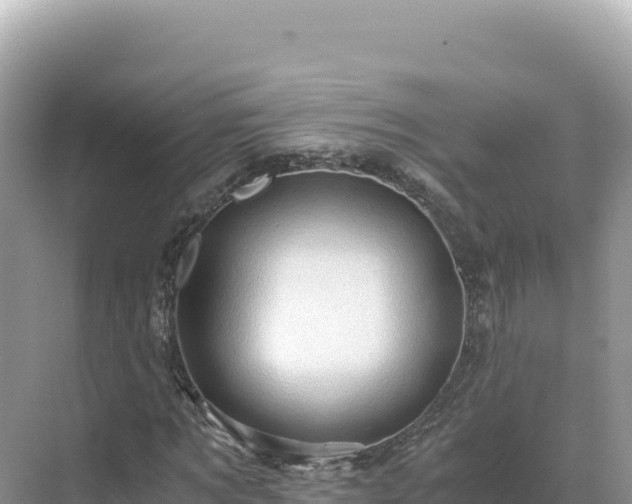 X0000071380869200606301807