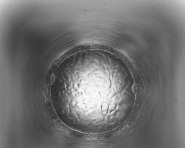 X0000071380871200606301807