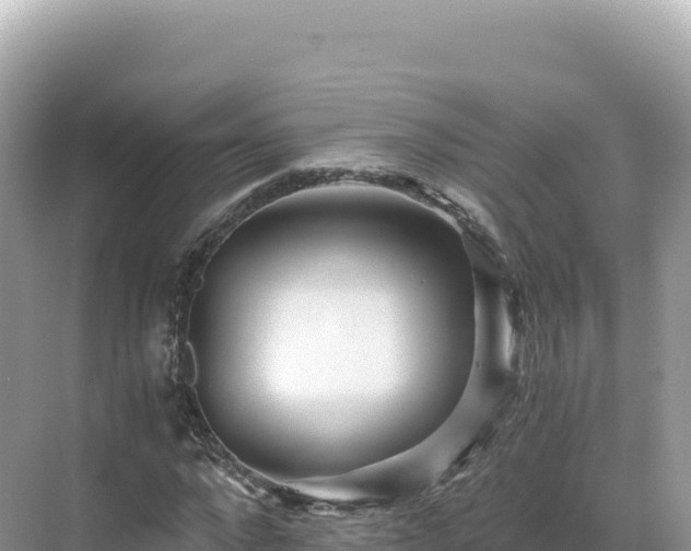 X0000071380872200606301807