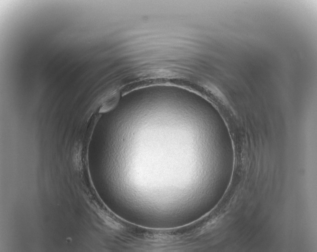 X0000071380873200606301807