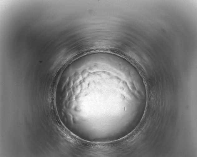 X0000071380874200606301807