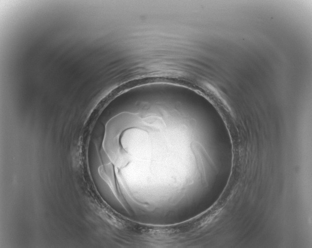 X0000071380875200606301807