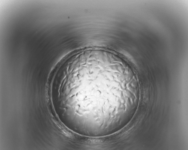 X0000071380878200606301807