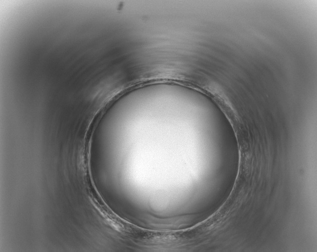 X0000071380882200606301807