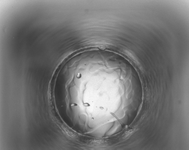 X0000071380883200606301807