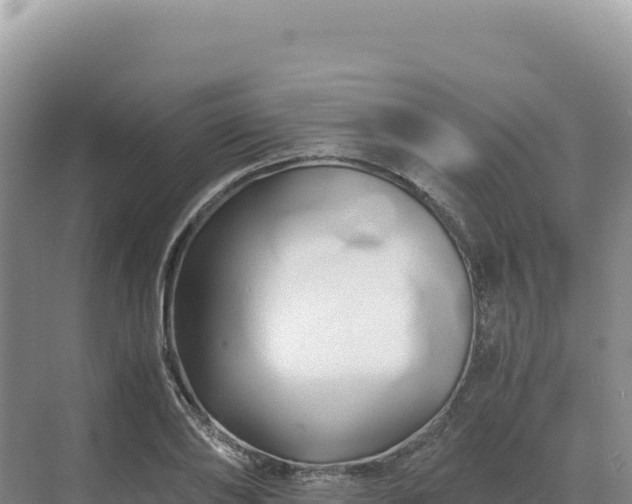 X0000071380886200606301807