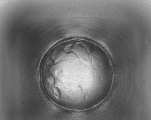 X0000071380887200606301807