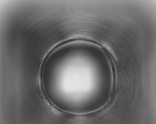 X0000071380888200606301807