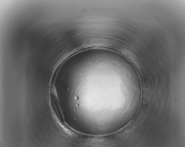 X0000071380890200606301807