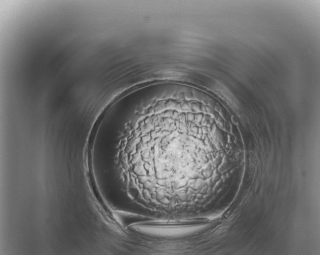 X0000071380891200606301807