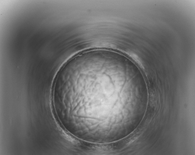 X0000071380895200606301807