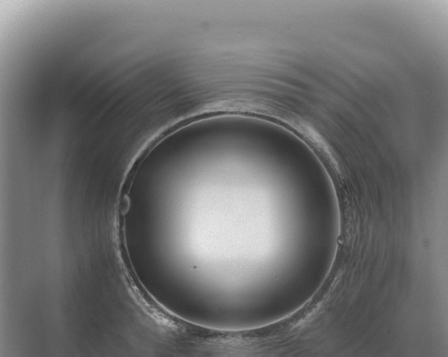 X0000071380896200606301807