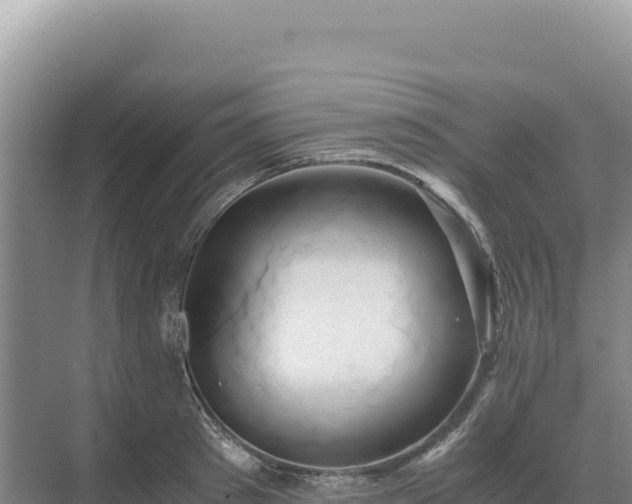 X0000071380897200606301807