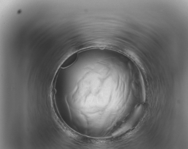 X0000071380899200606301807