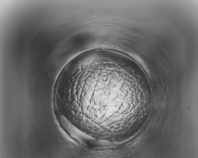 X0000071380903200606301807