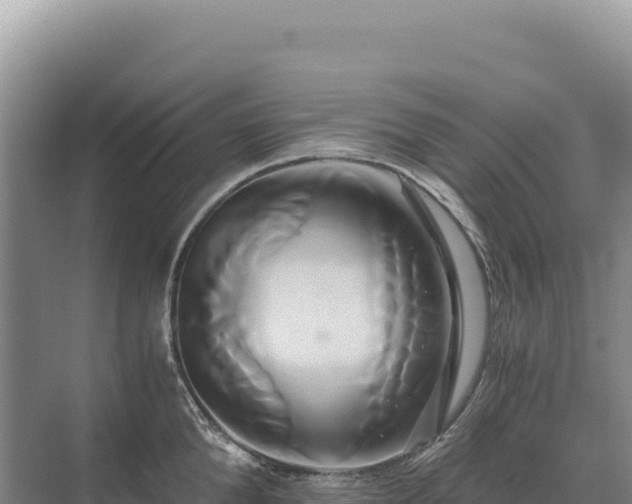 X0000071380904200606301807