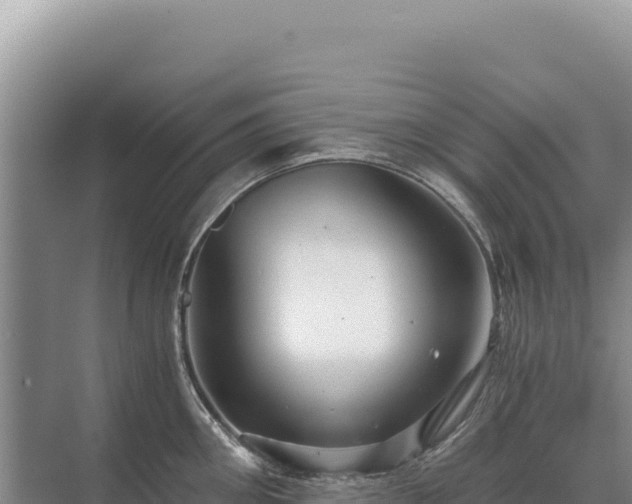 X0000071380906200606301806