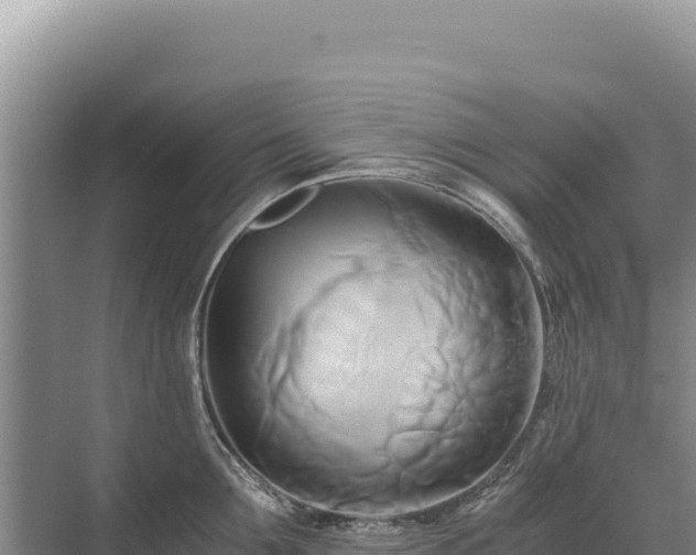 X0000071380907200606301806