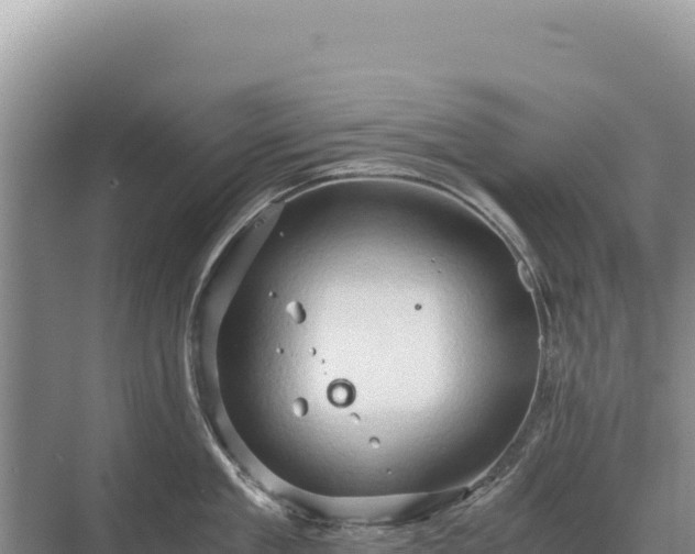 X0000071380909200606301806