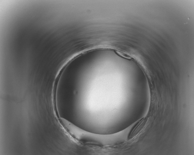 X0000071380910200606301806