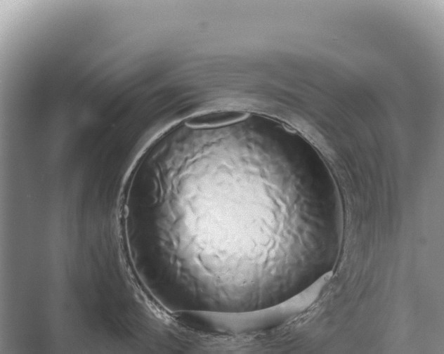 X0000071380912200606301806