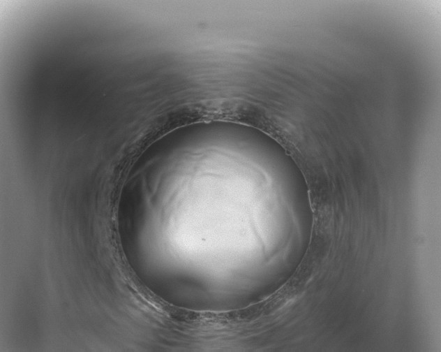 X0000071380913200606301806