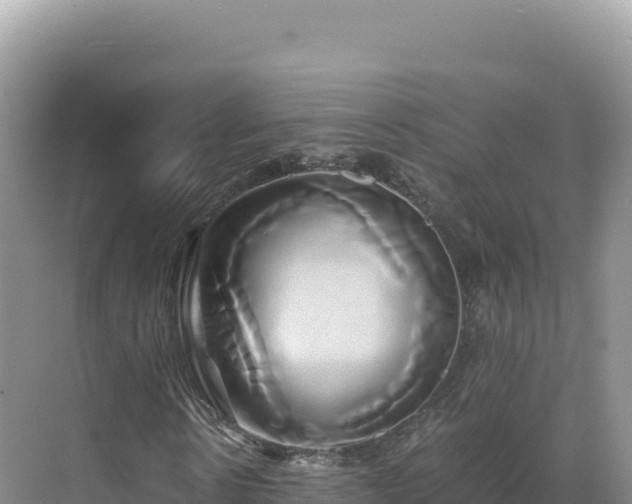 X0000071380914200606301806