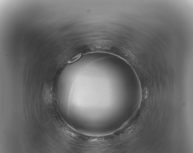 X0000071380915200606301806