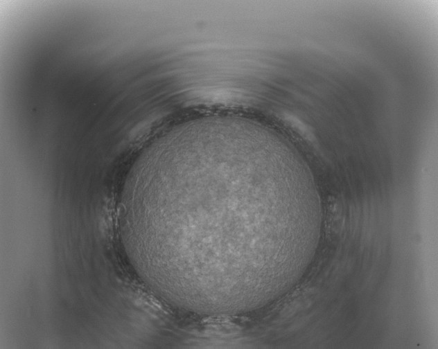 X0000071380918200606301806