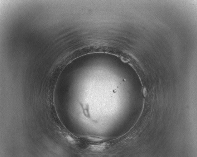 X0000071380919200606301806