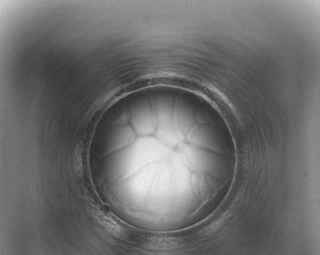 X0000071380921200606301806